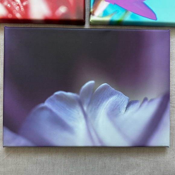 Set of 3 canvas prints | abstract flowers - Picture 2 of 6